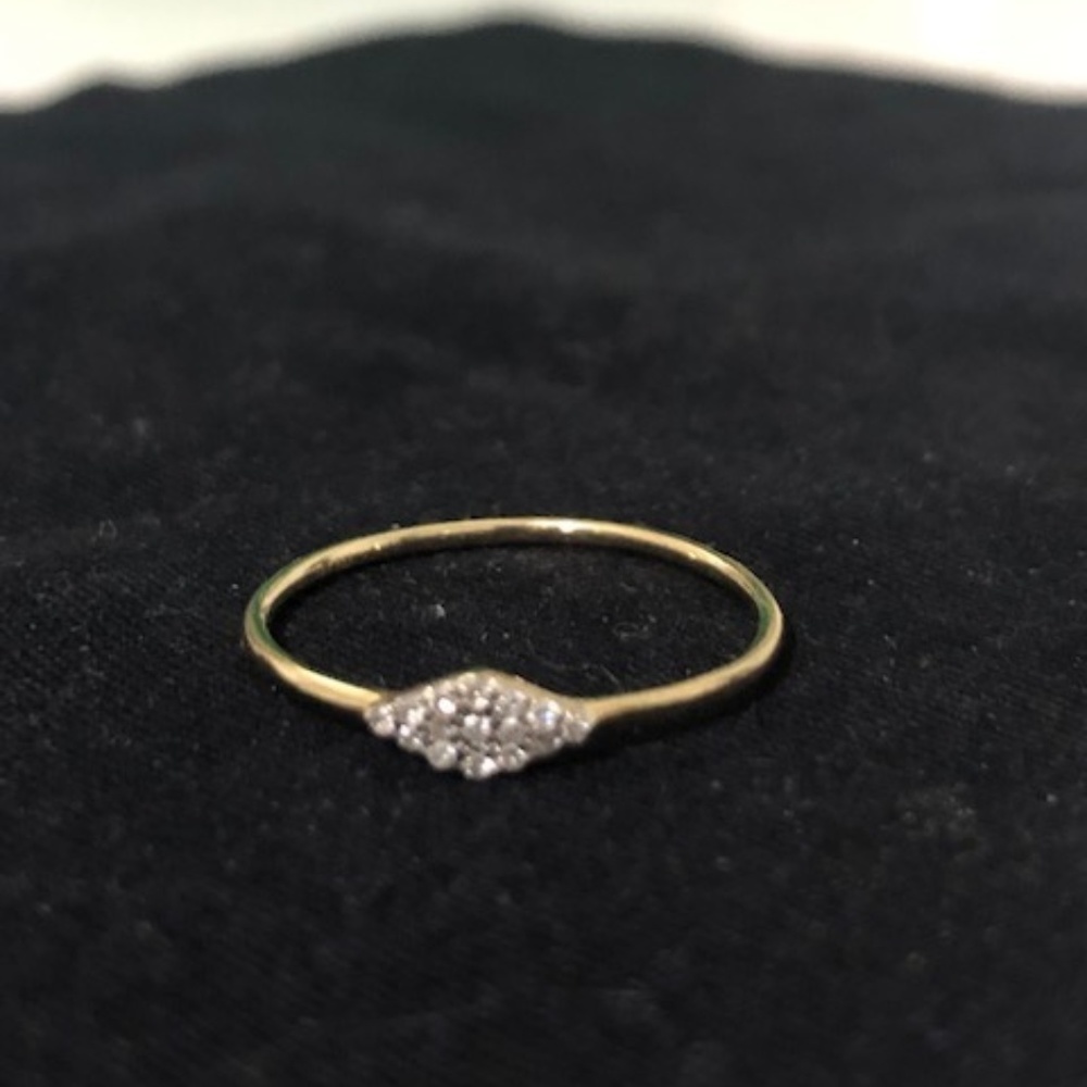 Stone & Strand Pave Double Line Diamond Ring 14K